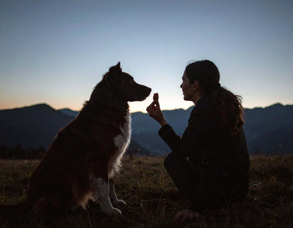 Bacon training treats