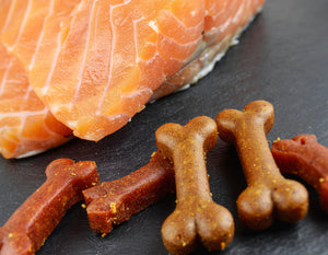 The Science Behind Salmon: Why It's a Superfood for Your Dog's Skin & Coat