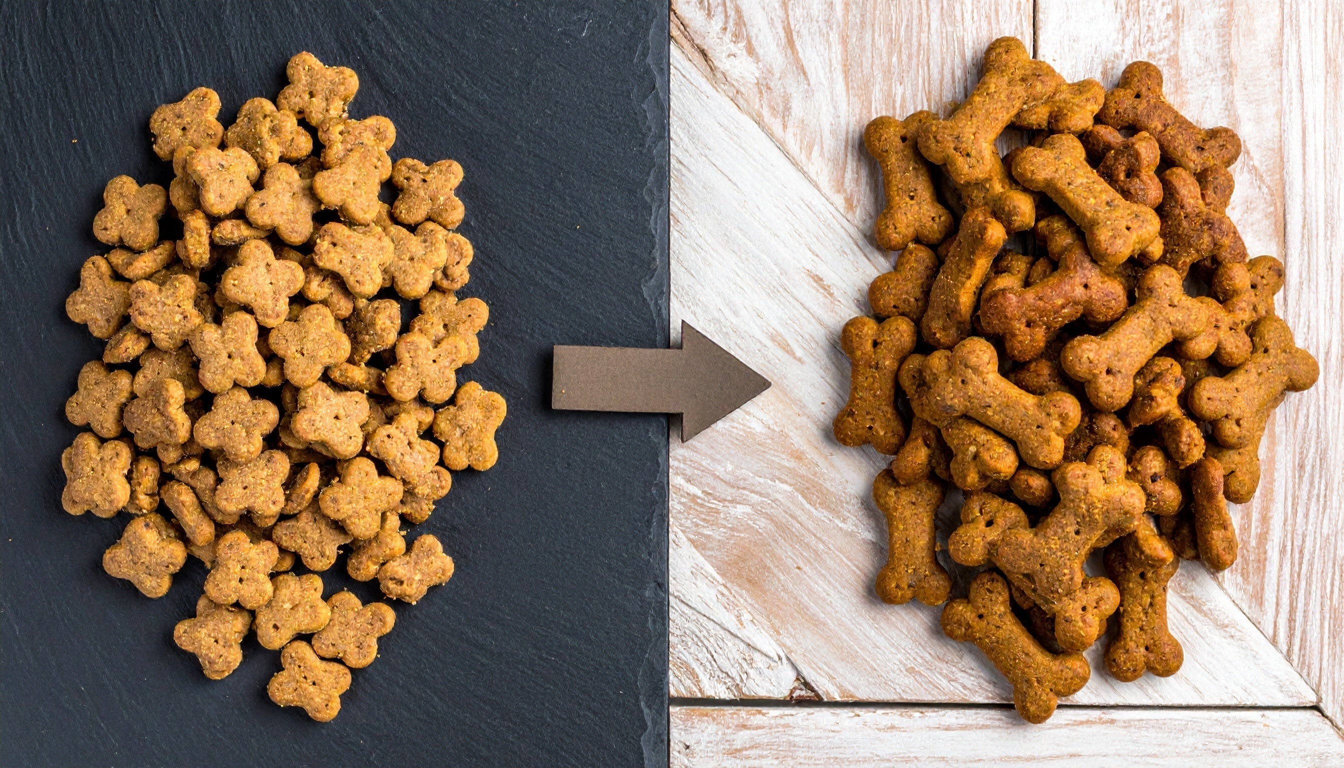 Dehydrated vs Baked Dog Treats