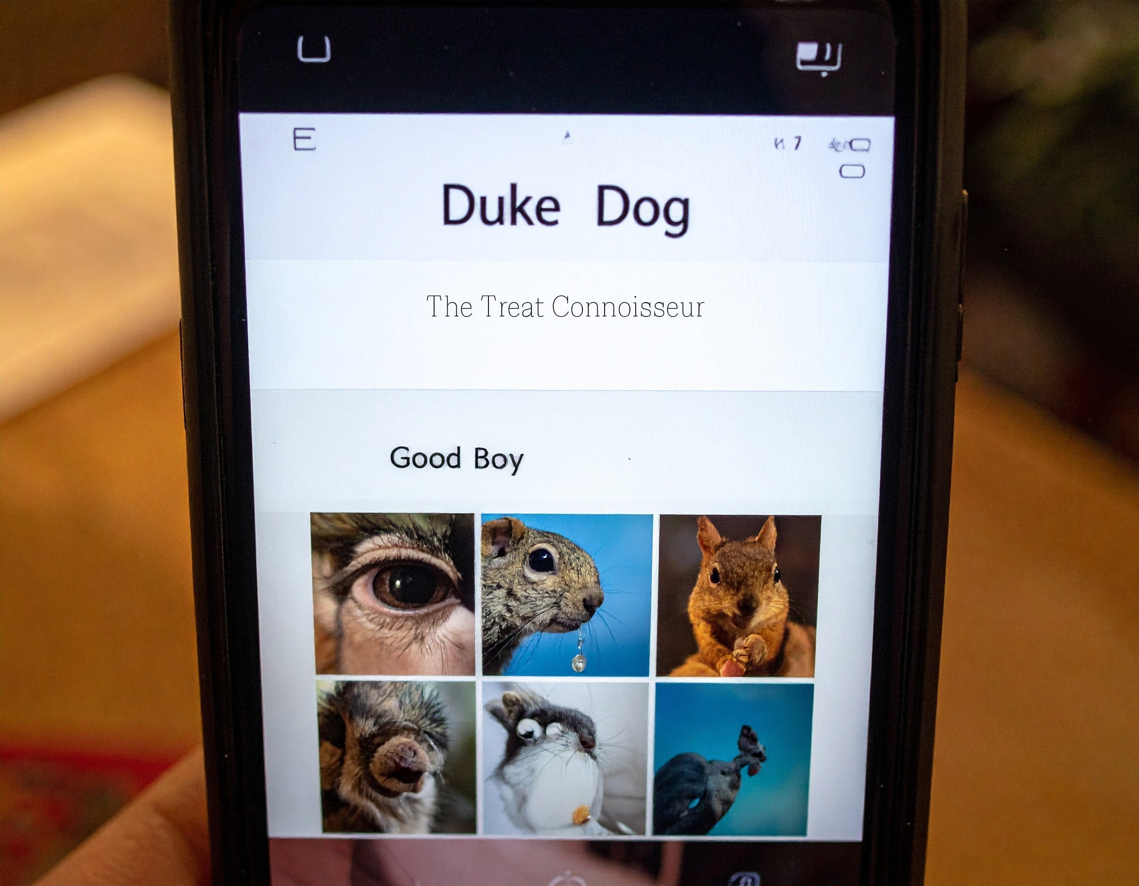 If Duke Had a Social Media Account (An Imaginary Adventure) featuring Duke Dog as the Treat Connoisseur.