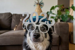 Happy New Year from Duke's Delights! - Duke's Delights