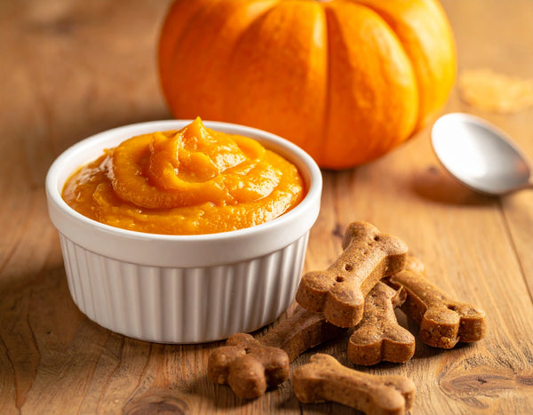 Pumpkin Spice Delight Ingredients