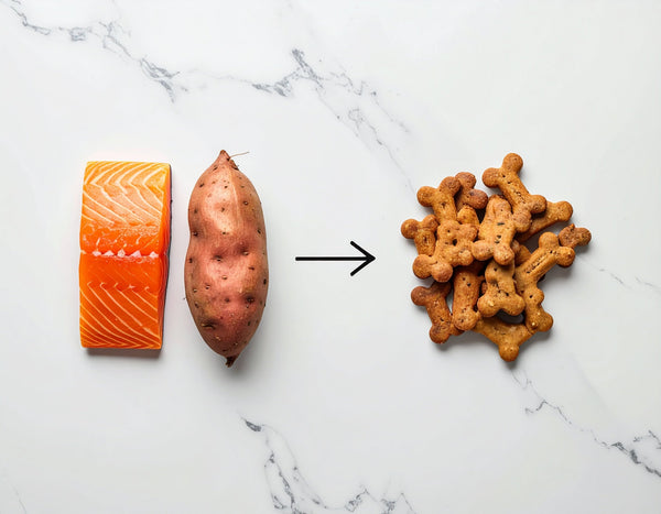 The Ultimate Guide to Single-Ingredient Dog Treats: Why Simplicity Wins