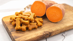 Salmon and Sweet Potato - Dukes Delights